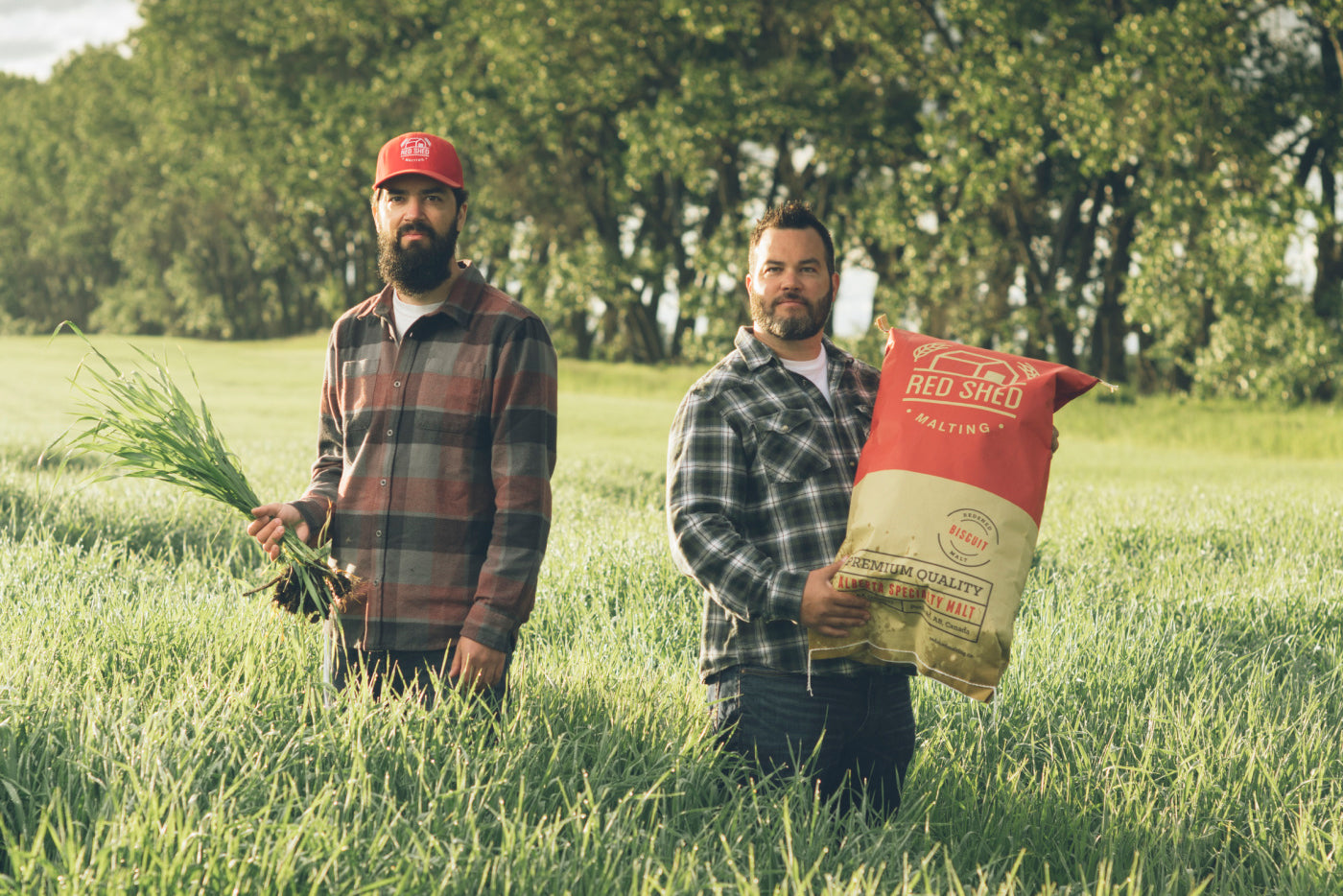 Red Shed Malting